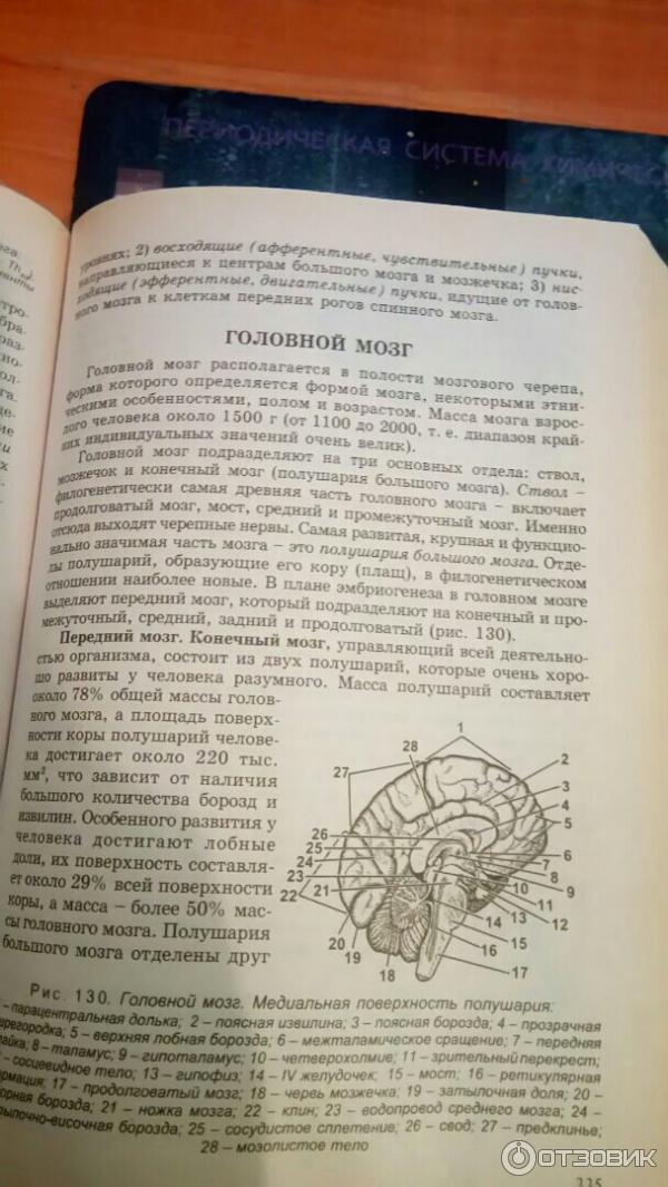 Отзыв о Книга "Биология для поступающих в вузы" - Г.Л.Билич, В.А ...