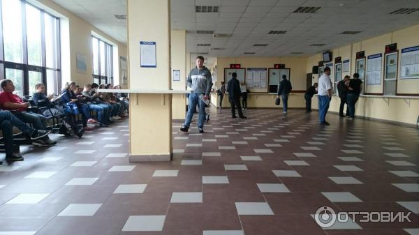 Гибдд большие вяземы график