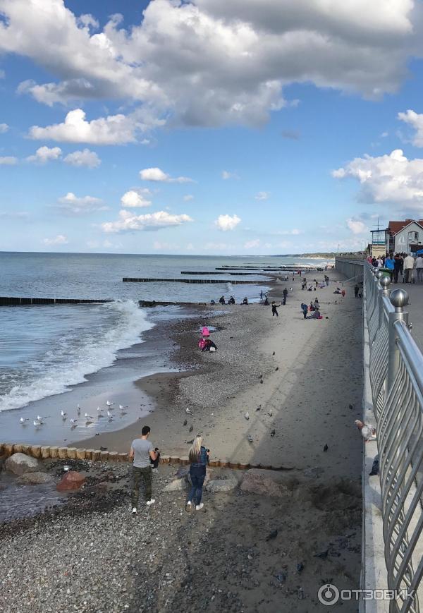 Экскурсия по г. Зеленоградск (Россия, Калининградская область) фото