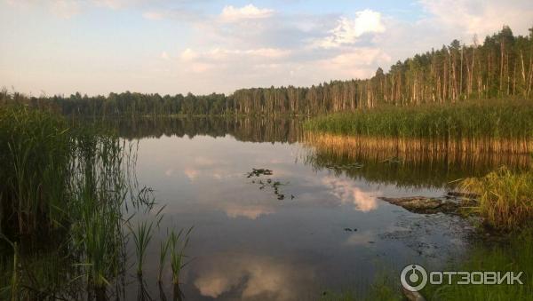 Отдых в республике Марий Эл (Россия) фото