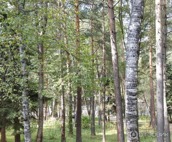 Поездка в Архыз (Карачаево-Черкесия) фото