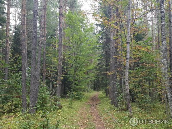 Поездка в Архыз (Карачаево-Черкесия) фото