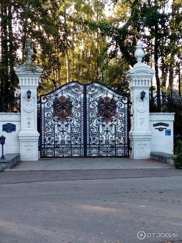 Лисий Нос Санкт Петербург Фото