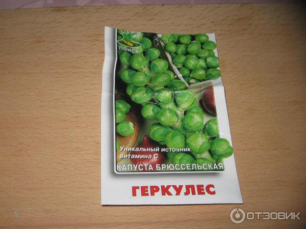 капуста