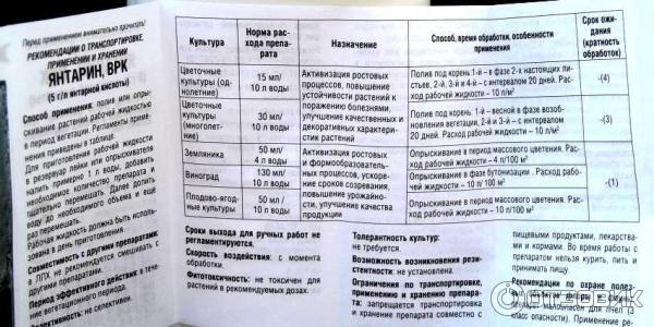 Сколько янтарной кислоты надо для полива рассады. Жидкая Янтарная кислота Янтарин. Как развести янтарную кислоту для полива. Как разводить янтарную кислоту для полива растений. Янтарная кислота жидкая для растений.