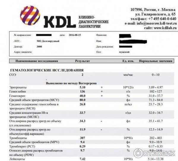 Сдача анализов ярославль. КДЛ анализы. Результаты анализов. KDL общий анализ крови. KDL бланк анализов.