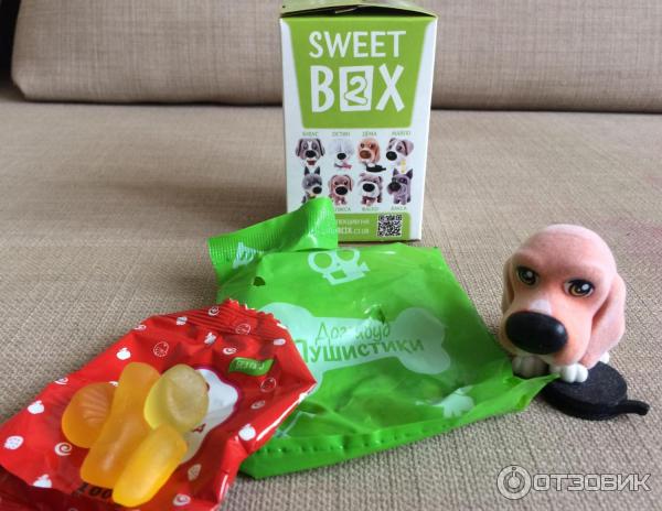 Sweet box доггивуд. Свит бокс собачки. Sweet box пушистики собачки. Собака сюрприз. Свит бокс пушистики доггивуд.
