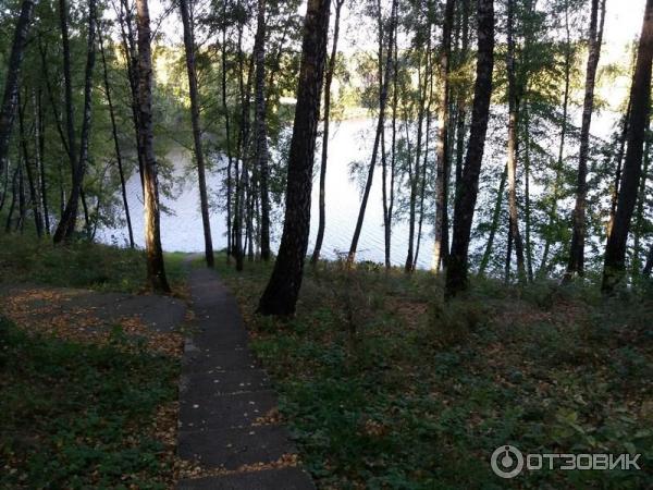 Отзыв о База отдыха "Зеленый берег" (Россия, Орловская область) Сюда приезжаешь