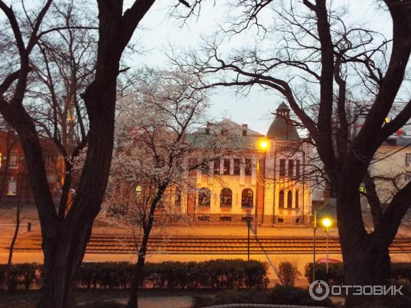 Парк Городской сад (Россия, Краснодар) фото