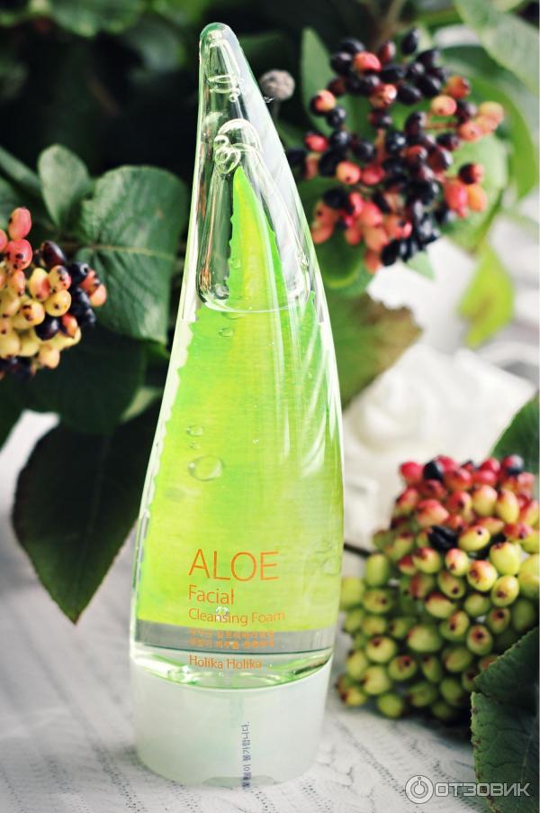 Holika Holika Aloe |   ,    ,       -