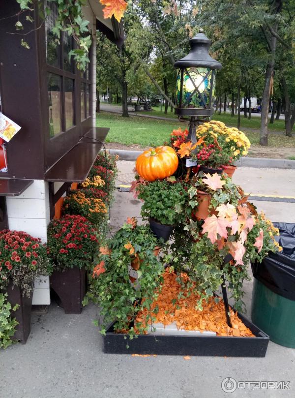 Осенний гастрономический фестиваль Золотая осень (Россия, Москва) фото