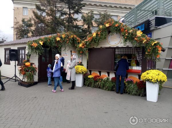 Осенний гастрономический фестиваль Золотая осень (Россия, Москва) фото