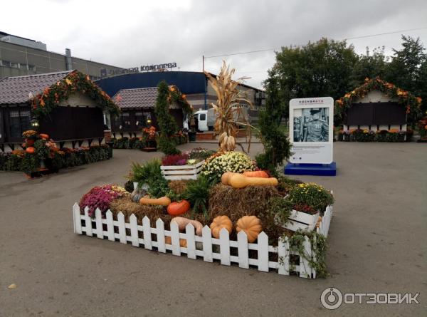 Осенний гастрономический фестиваль Золотая осень (Россия, Москва) фото