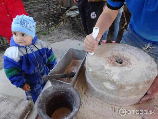 Этнографический комплекс Пухляковская казачья усадьба (Россия, Пухляковская) фото