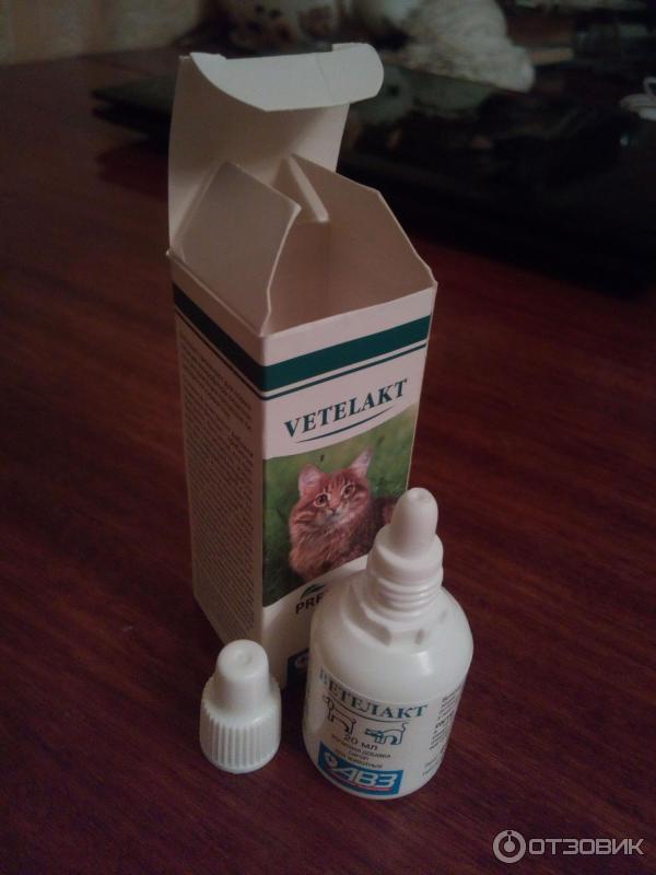 Отзыв о Пребиотик для кошек и собак АВЗ Vetelact | Эффективное ...