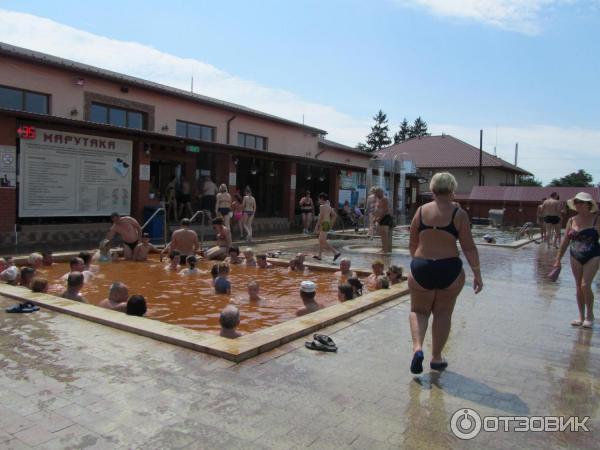 Термальные купальни Жайворонок (Украина, Берегово) фото