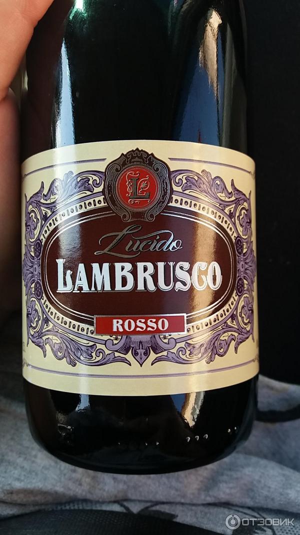 Rosso шампанское. Таманская винная компания Кубань. Игристое вино Россо. Ламбруско Rosso. Ламбруско шампанское Россо.