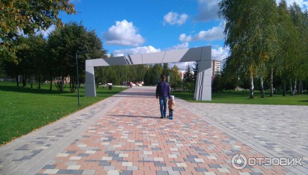 Световая Арка А-01 купить в Набережных Челнах по выгодной цене