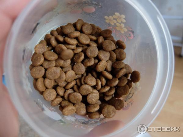 Отзыв о Корм для собак Royal Canin Gastro Intestinal | Только не при ...