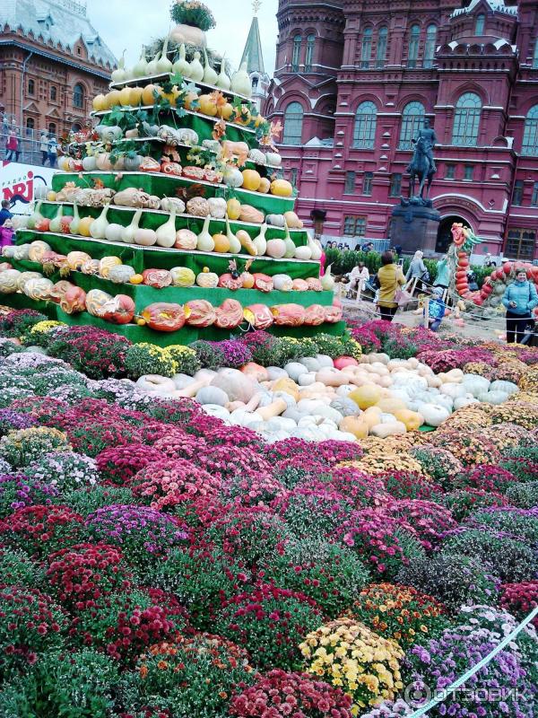 Осенний гастрономический фестиваль Золотая осень (Россия, Москва) фото