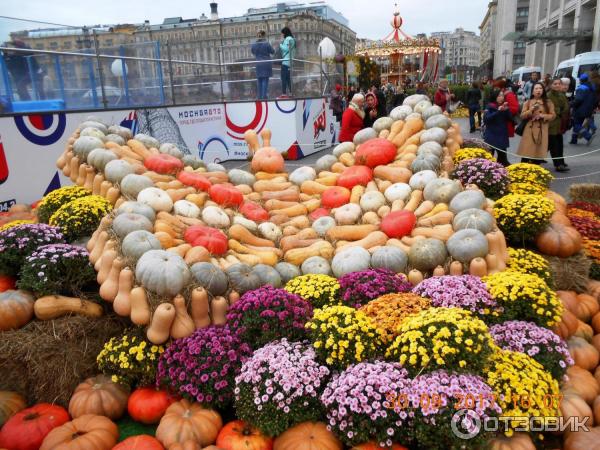 Осенний гастрономический фестиваль Золотая осень (Россия, Москва) фото