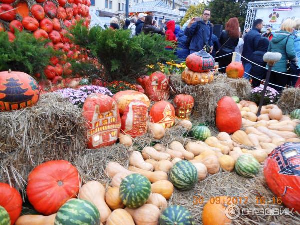 Осенний гастрономический фестиваль Золотая осень (Россия, Москва) фото