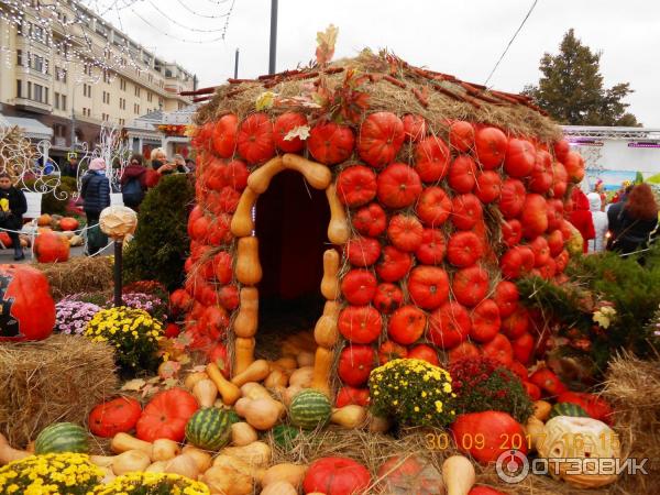 Осенний гастрономический фестиваль Золотая осень (Россия, Москва) фото