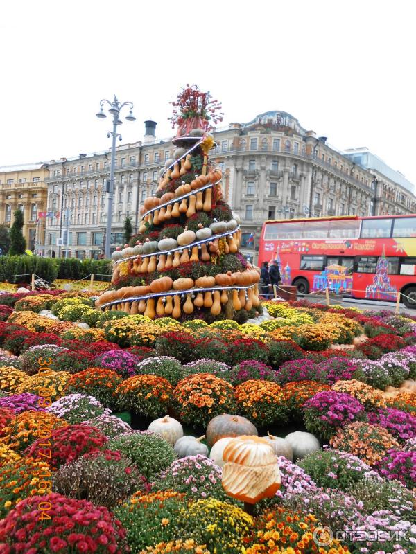 Осенний гастрономический фестиваль Золотая осень (Россия, Москва) фото