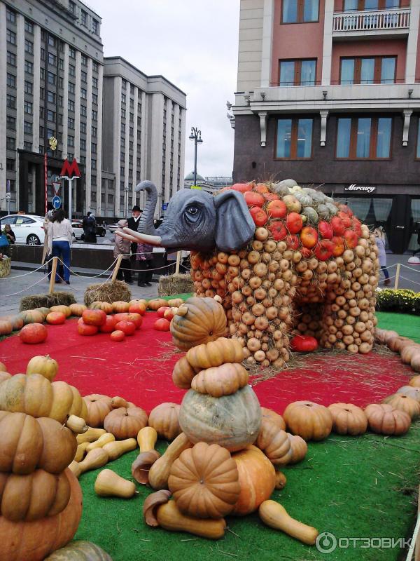 Осенний гастрономический фестиваль Золотая осень (Россия, Москва) фото