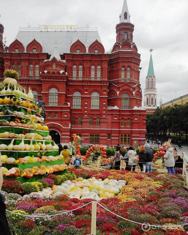 Осенний гастрономический фестиваль Золотая осень (Россия, Москва) фото