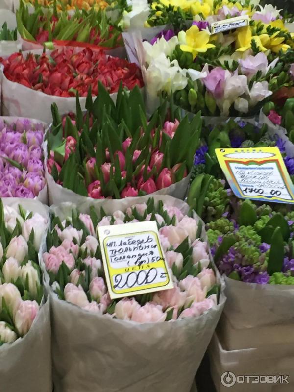 Сколько стоят цветы 2024. Рижский вокзал Цветочная база. Рижский вокзал цветочный рынок. Рижский рынок цветы. Цветочная база Рижский рынок.