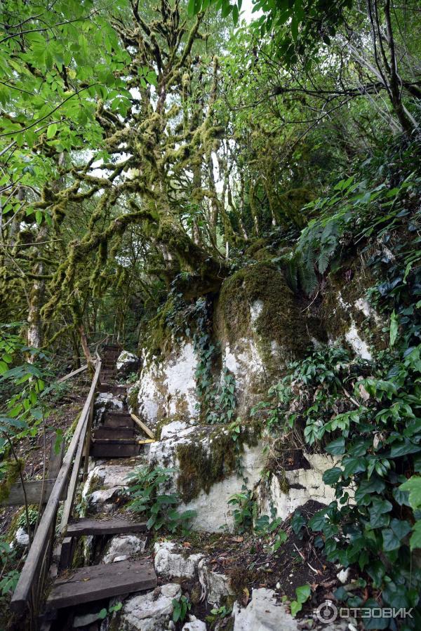 Экскурсия на Белые скалы (Россия, Краснодарский край) фото