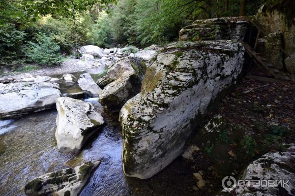 Экскурсия на Белые скалы (Россия, Краснодарский край) фото