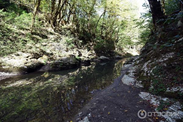 Экскурсия на Белые скалы (Россия, Краснодарский край) фото