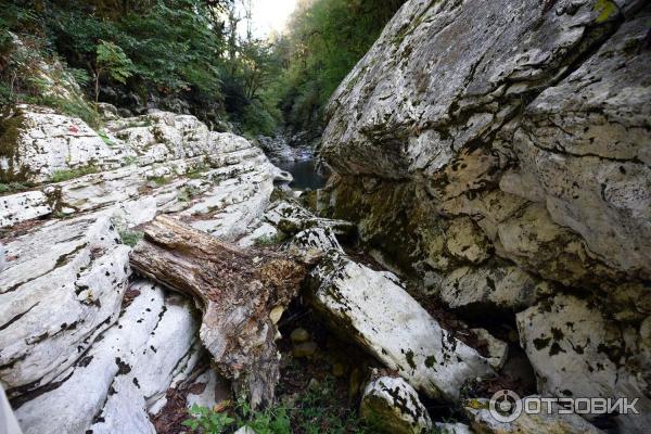 Экскурсия на Белые скалы (Россия, Краснодарский край) фото