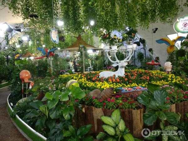 Парк бабочек просп космонавтов 108д фото Отзыв о Парк бабочек Butterfly Garden (ОАЭ, Дубай) Кусочек райских тропиков в це