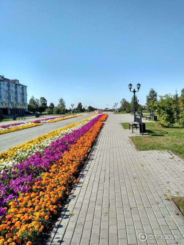 Заказать Цветы В Тобольске