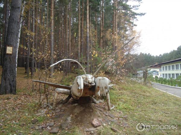 Парк деревянных скульптур Лукоморье, Савватеевка фото