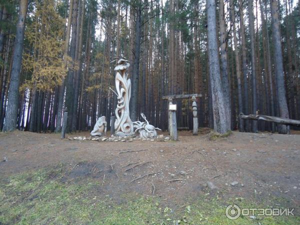 Парк деревянных скульптур Лукоморье, Савватеевка фото