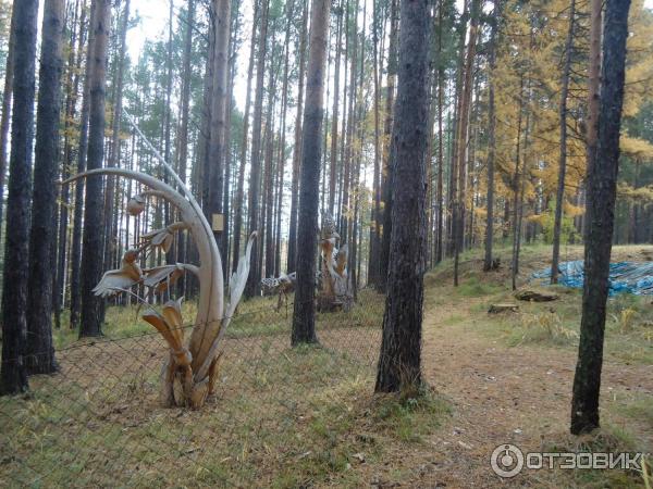 Парк деревянных скульптур Лукоморье, Савватеевка фото