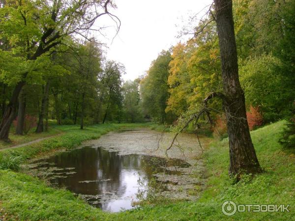 Ясная Поляна (Россия, Тульская область) фото