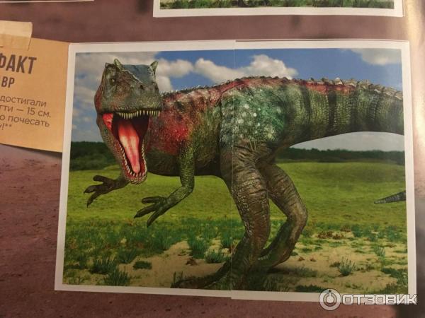 Дикси карточки динозавров. Дикси карточки динозавров. Динодикси. Наклейки динозавры дикси. Дино дикси наклейки.