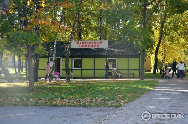 Парки В Долгопрудном Фото