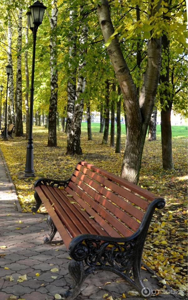 Парки В Долгопрудном Фото