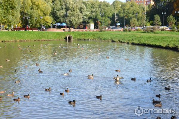 Парки В Долгопрудном Фото