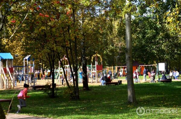 Парки В Долгопрудном Фото