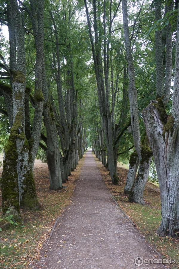 Замок Яунмоку (Латвия, Тукумсский край) фото