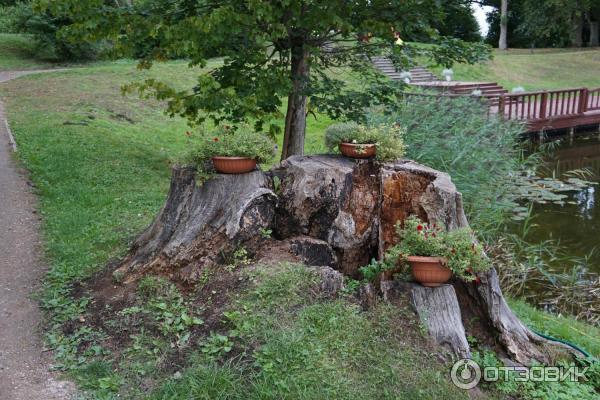 Замок Яунмоку (Латвия, Тукумсский край) фото