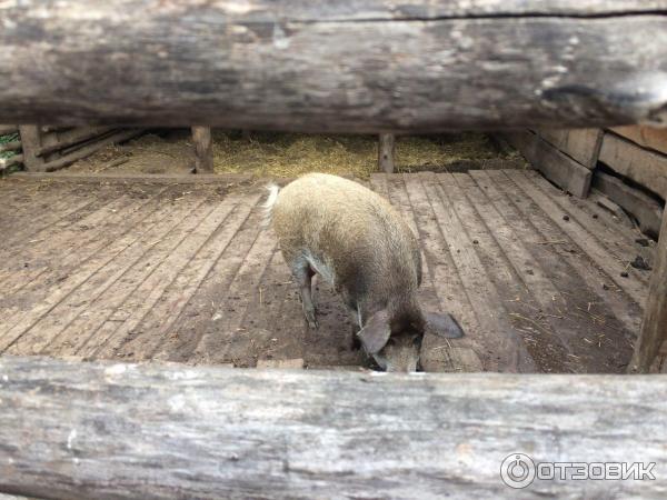 Музей - казацкое селище Мамаева Слобода (Украина, Киев) фото