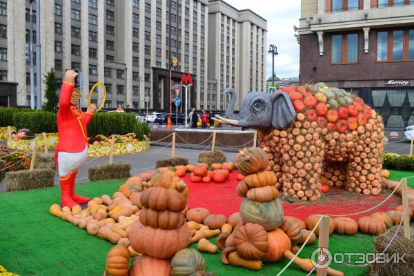 Площадь Манежная (Россия, Москва) фото